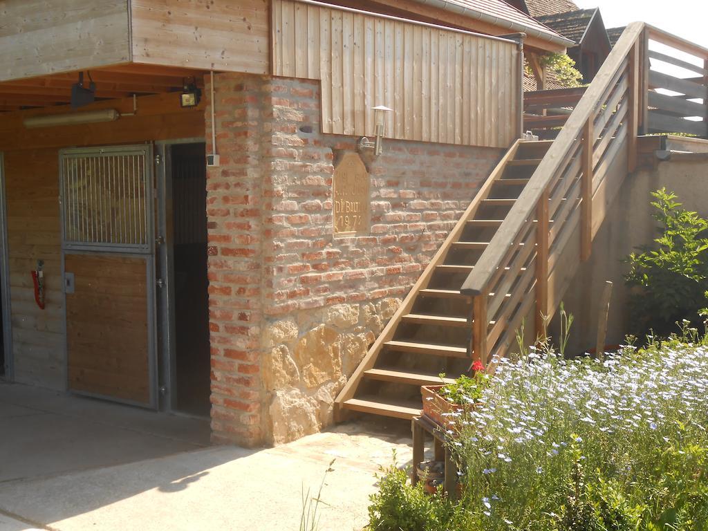 Gite Du Rotenberg Bergheim Exterior photo